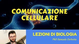 Comunicazione cellulare  Lezioni di Biologia [upl. by Hassett305]