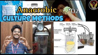 Anaerobic Culture Methods I Tamil  Microbiology  Mclntosh Fildes  GASPAK  ThiNK BIOLOGY [upl. by Auqinahs352]