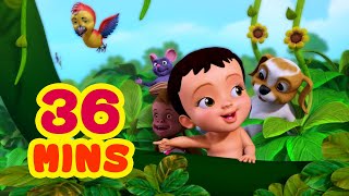 Top 25 Bengali Rhymes for Children Collection  Infobells [upl. by Animahs341]