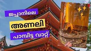 ജപ്പാനിലെ അണലി പാമ്പിട്ട വാറ്റ് [upl. by Andrien642]