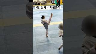 7단 심사  기본동작 태권도 고단자심사 taekwondo tkd kick kukkiwon [upl. by Einitsed]