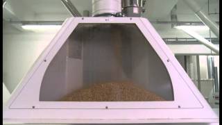 Bühler Group  Stateoftheart milling technology Grueninger Swiss flour mill [upl. by Eudosia]