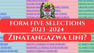 FORM FIVE SELECTION 202324waliochanguliwa kujiunga kidato Cha Tano 20232024 TAMISEMI [upl. by Esialb]