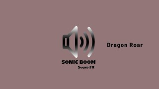 Dragon Roar SFX [upl. by Allekim192]