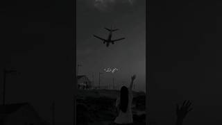 ظروف معنداني وائلجسار [upl. by Ariajaj]