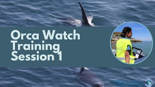 Orca Watch 2022 Training Session 1 [upl. by Dare]