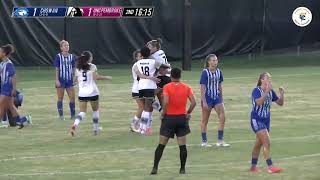 SOCCER HIGHLIGHTS Braves win in an absolute thriller against Chowan 32 [upl. by Cesaria288]