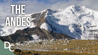 Earth Longest Mountain Range The Andes  Mountains And Life  Documentary Central [upl. by Milah]