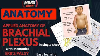 Brachial Plexus applied anatomy । Erbs palsy। MBBS Marvel [upl. by Morna]