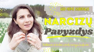 Narcizų rodomas pavyzdys naudingas [upl. by Kass81]