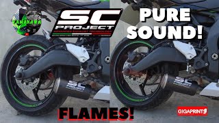 ZX25R  SC PROJECT EXHAUST  PURE SOUND  CEBU [upl. by Urba]