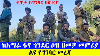 ከአማራ ፋኖ ጎንደር ዕዝ ዘመቻ መምሪያ ልዩ የግንባር መረጃ [upl. by Rfinnej]