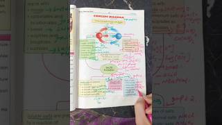 Acidsbases and Salts Formation and types Chemistry Class 10 [upl. by Etteinotna]