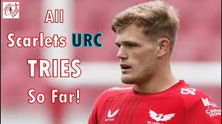 Scarlets Fever  URC Trylights So Far [upl. by Cad]