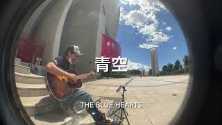 アラ還のアコギでブルハ ブルーハーツ THE BLUE HEARTS 青空 [upl. by Andriette]