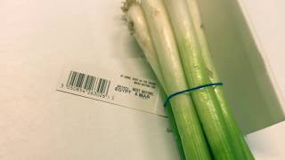 SPRING ONION  BUNCHING TAGGING PRINTING AND CUTTING LINE [upl. by Verlee]