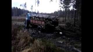 MTZ80 mežāKoknesē  MTZ80 with frontwheel drive in forest KokneseLatvija [upl. by Hobard690]