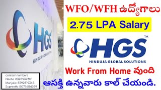 ఆసక్తి ఉన్నవారు కాల్ చేయండి HGS Company Latest Jobs Telugu  Hinduja Global Solutions Hiring [upl. by Reggis]