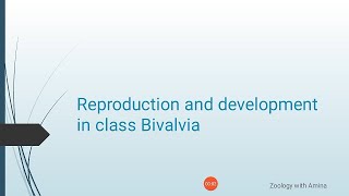 Reproduction and development in class Bivalvia  Phylum mollusca class Bivalvia Reproduction [upl. by Vona]