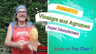 Tuto Vinaigre aux Agrumes nettoyant désinfectant écologique économique avec Jeannot pour RoutArt [upl. by Isidoro579]