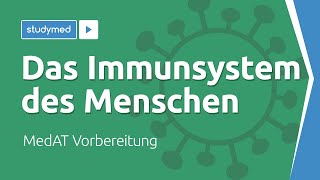 Das Immunsystem des Menschen  MedAT Vorbereitung [upl. by Felic665]