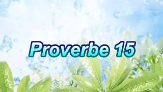 Proverbe 15 [upl. by Salomie]