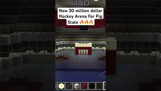 New Hockey Rink… 🔥🔥🔥 mcaa minecraft [upl. by Ayikahs]