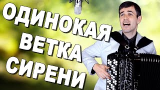 БОЖЕ ВОТ ЭТО ГОЛОС ПРОСТО ДУШУ РВЕТ quotОдинокая ветка сирениquot под баян [upl. by Tremann]