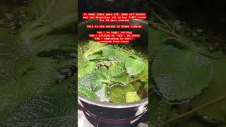 Oregano Tea  How To Make Herbal Tea Decoction  oregano tea herbalism herbalremedy healing [upl. by Imekawulo]