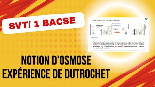 SVT  1BACS  notion dosmose expérience de dutrochet [upl. by Avat]