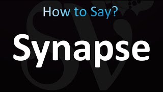 How to Pronounce Synapse Correctly [upl. by Rriocard268]