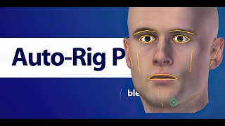 AutoRig Pro Facial markers setup v357 [upl. by Ettesoj]