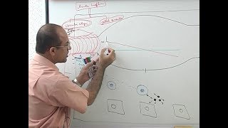 Inflammation  Vascular Events  Immunology  Dr Najeeb [upl. by Aalst797]