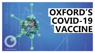 How the AstraZenecaOxford COVID19 Vaccine Works Animated Explainer [upl. by Nathanil127]