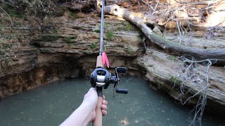 Fishing in a CRYSTAL clear sinkhole [upl. by Gnos542]