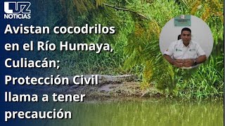 Avistan cocodrilos en el Río Humaya Culiacán Protección Civil llama a tener precaución [upl. by Ertnom]