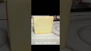 Proving cheese can get 100k subs day 6 25100000 [upl. by Lerrehs]