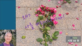 왜 이토록 저를 버리십니까시88편PMI TV 일일Ten 곽성환 목사 [upl. by Zachery]