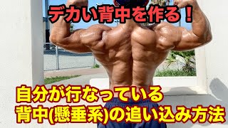 【時短で効率よく鍛えよう！】自分が普段のトレーニングで行っている背中を効率よく追い込む手法 [upl. by Herrmann]