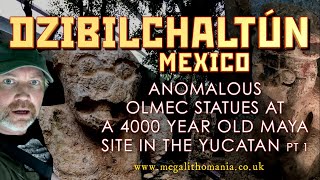 Dzibilchaltún Mexico  Anomalous Olmec Statues at 4000 year old Maya Site  Megalithomania [upl. by Delanie]