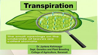 Crop Physiology  Topic Transpiration part 1 by Dr J K Kshirsagar [upl. by Worra]