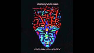 Cosmosis  Interspatial Meltdown HQ [upl. by Notwen]