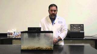 DrTims Aquatics  How to Use Our One and Only Live Nitrifying Bacteria [upl. by Shelburne170]