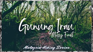 ⛰️62  GUNUNG IRAU via MOSSY FOREST  IRAU MOUNT  English Subtitle  MALAYSIA HIKING 22 [upl. by Aynad]