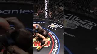 MMA KO Most VICIOUS Flying Knee 2024 mma boxinghighlights ufc boxingknockouts knockoutartist [upl. by Gabriellia]