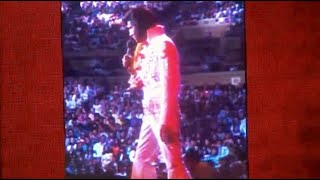 Elvis Presley Song Fever Live Concert with Orchester [upl. by Richardo7]