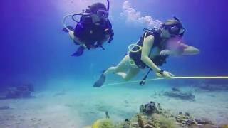 Broadreach  Overview of Marine Biology Summer Trips for Teens [upl. by Eityak]