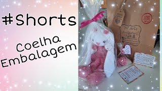 Shorts Embalagem Coelha em Amigurumi  Variedades DIY [upl. by Janette]