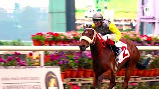 Madras Race Club Million 2024 Winner  Blackstone [upl. by Seena]