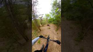 Flow trail ✨ mtb mountainbikejumps crash downhill bike mtblife endurobike [upl. by Aniroz]